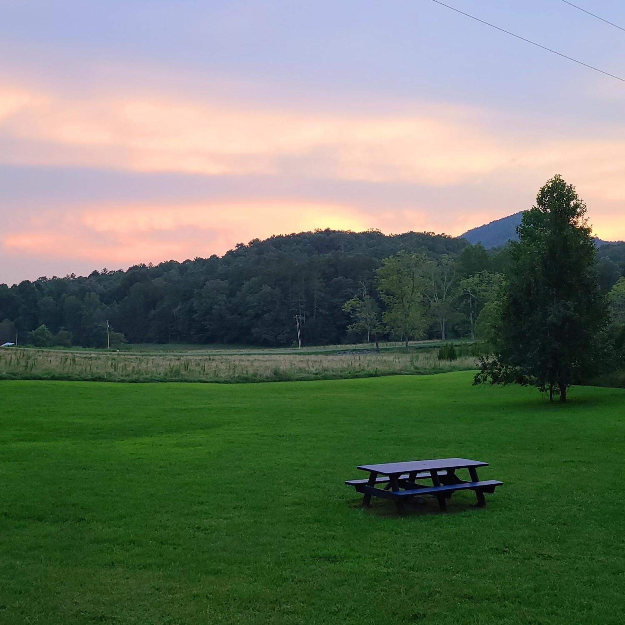 Cozy Cottage With Full View Of The Mountains! Blue Ridge Extérieur photo