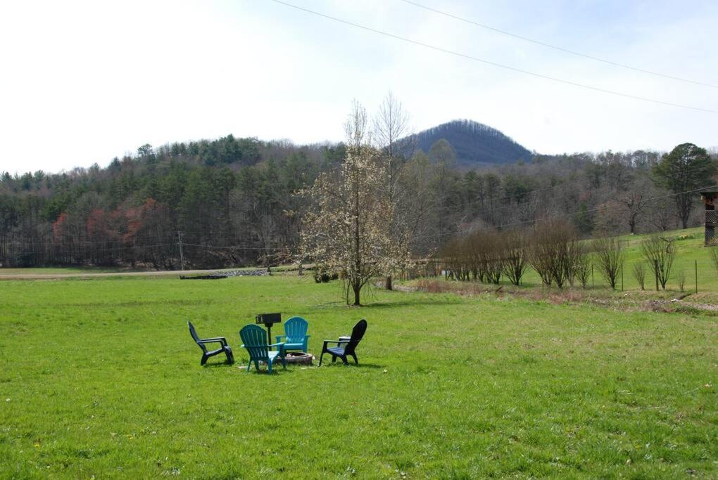 Cozy Cottage With Full View Of The Mountains! Blue Ridge Extérieur photo