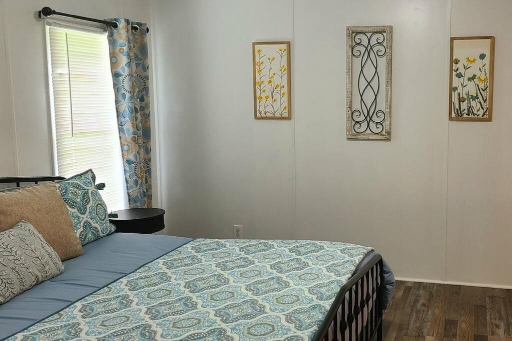 Cozy Cottage With Full View Of The Mountains! Blue Ridge Extérieur photo
